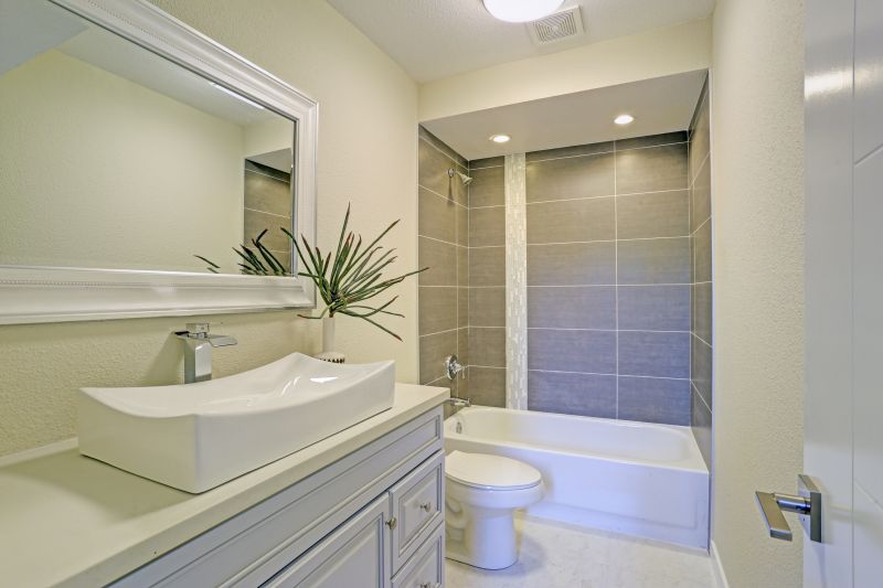Elderly Bathroom Remodel detail